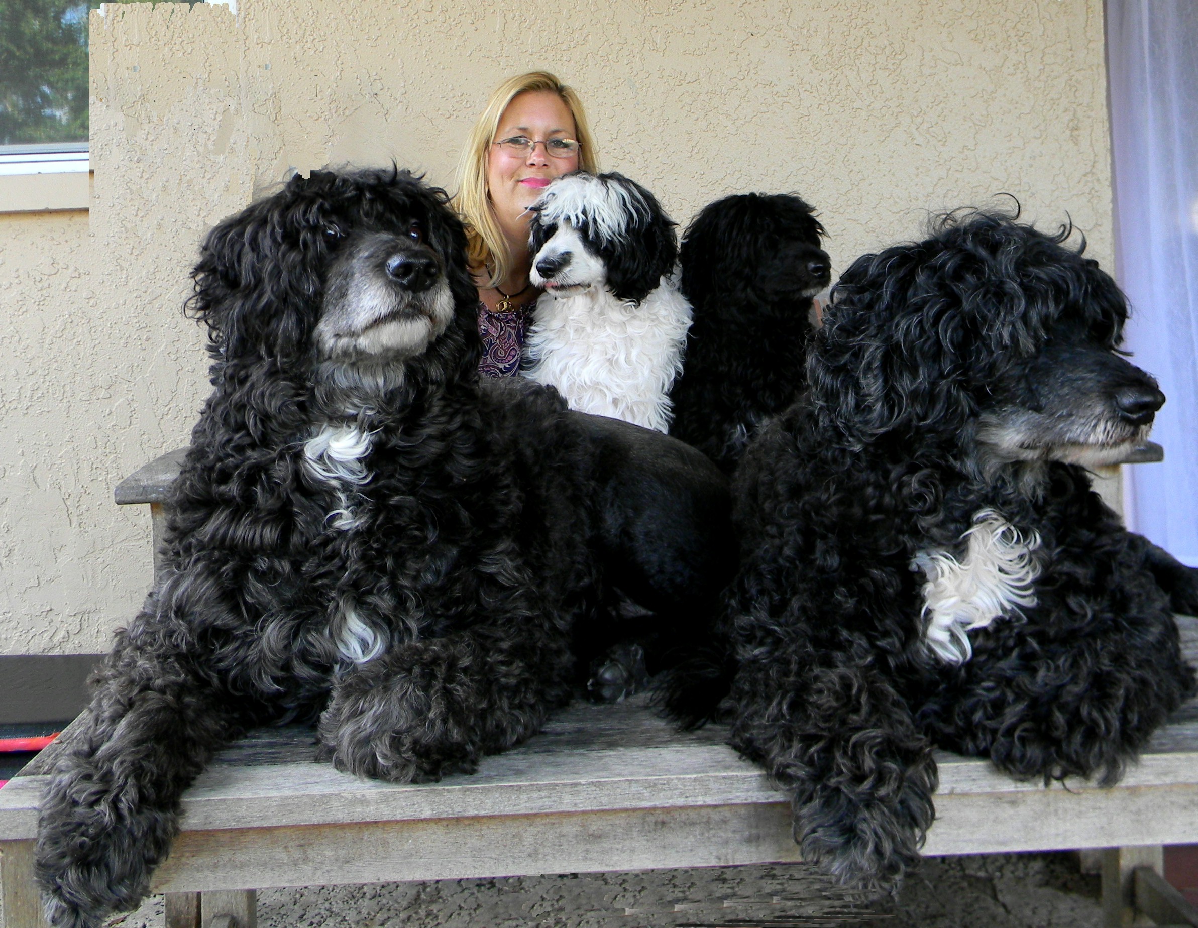 Lisa McClish-Boyles, owner of CPWD, with her dogs