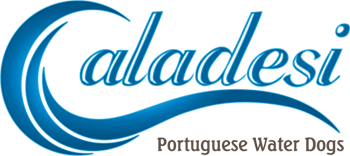 Caladesi Portuguese Water Dogs Logo