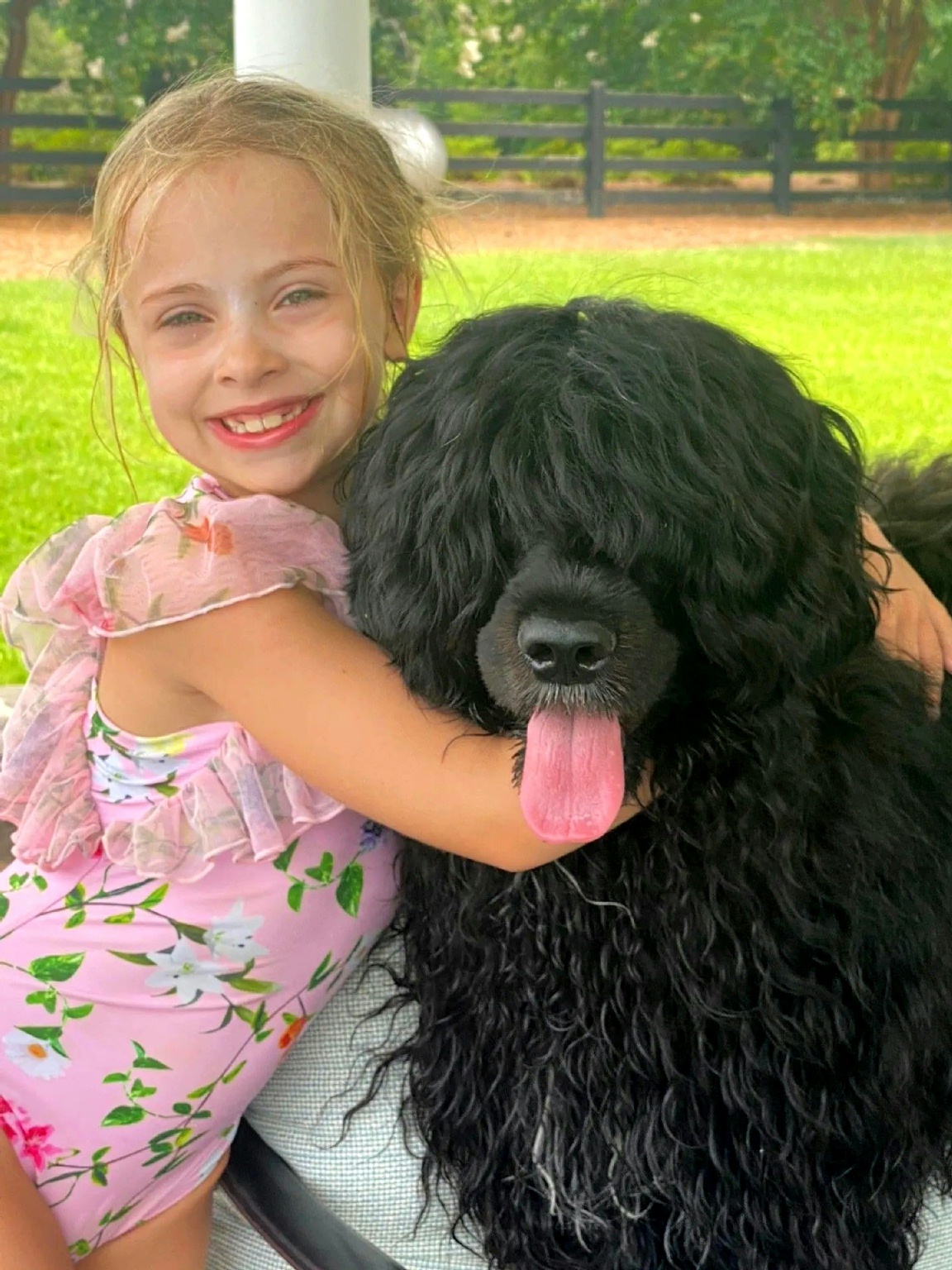 Laddie, Caladesi Portuguese Water Dog