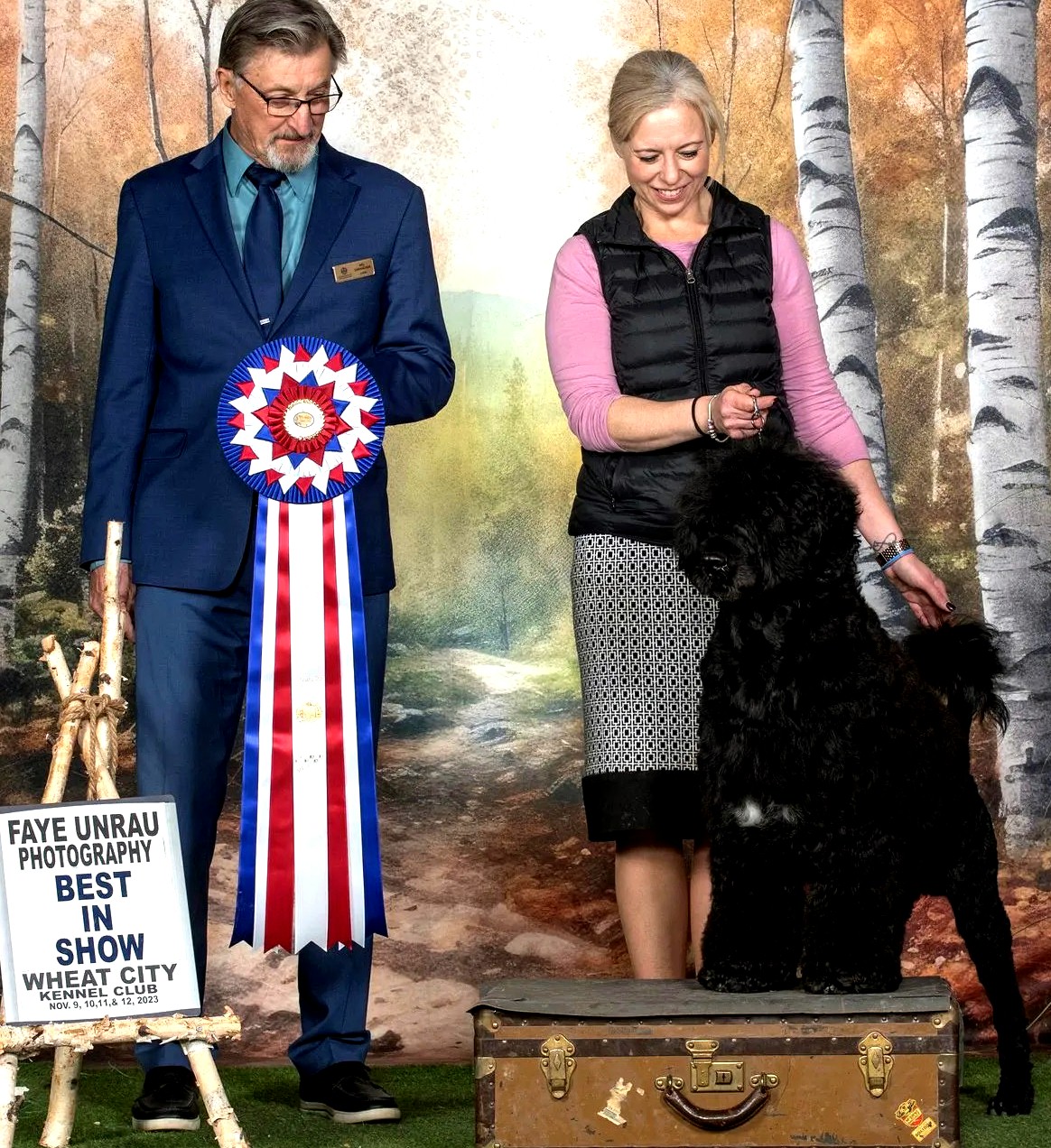 Miller, Caladesi Portuguese Water Dog