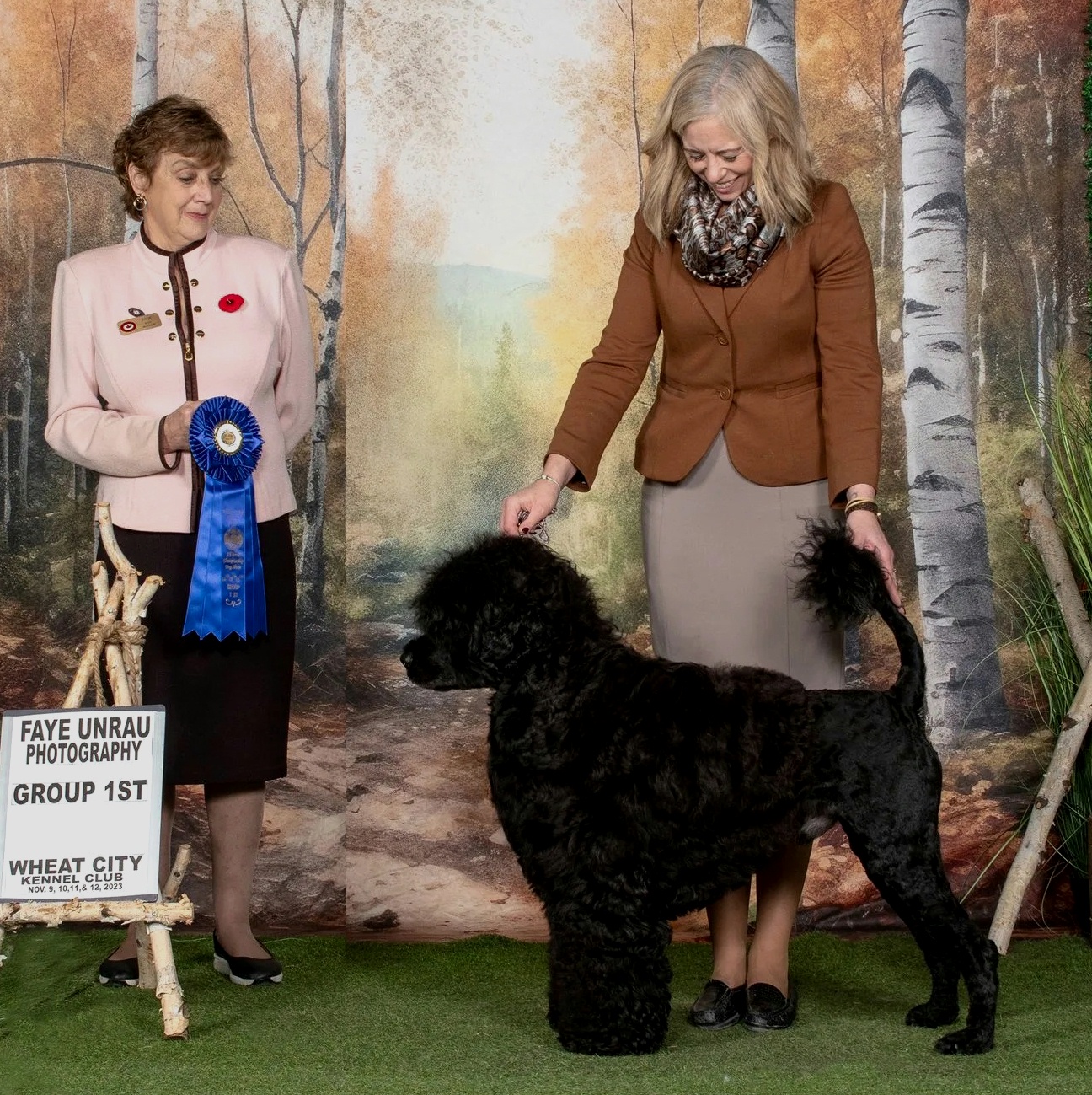 Miller, Caladesi Portuguese Water Dog