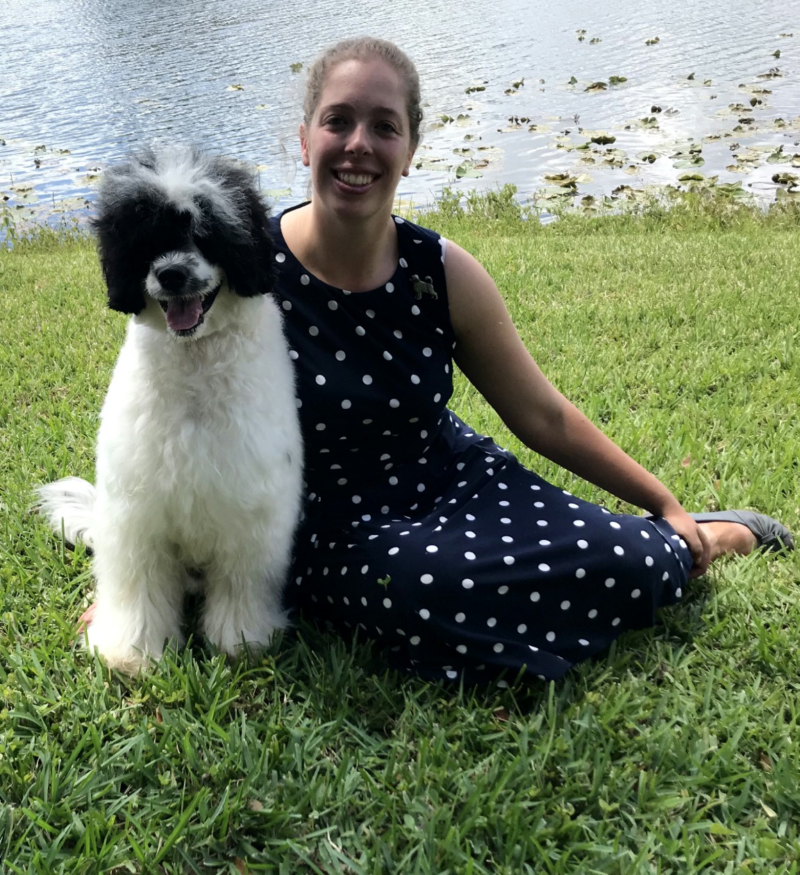 Rumor, Caladesi Portuguese Water Dog