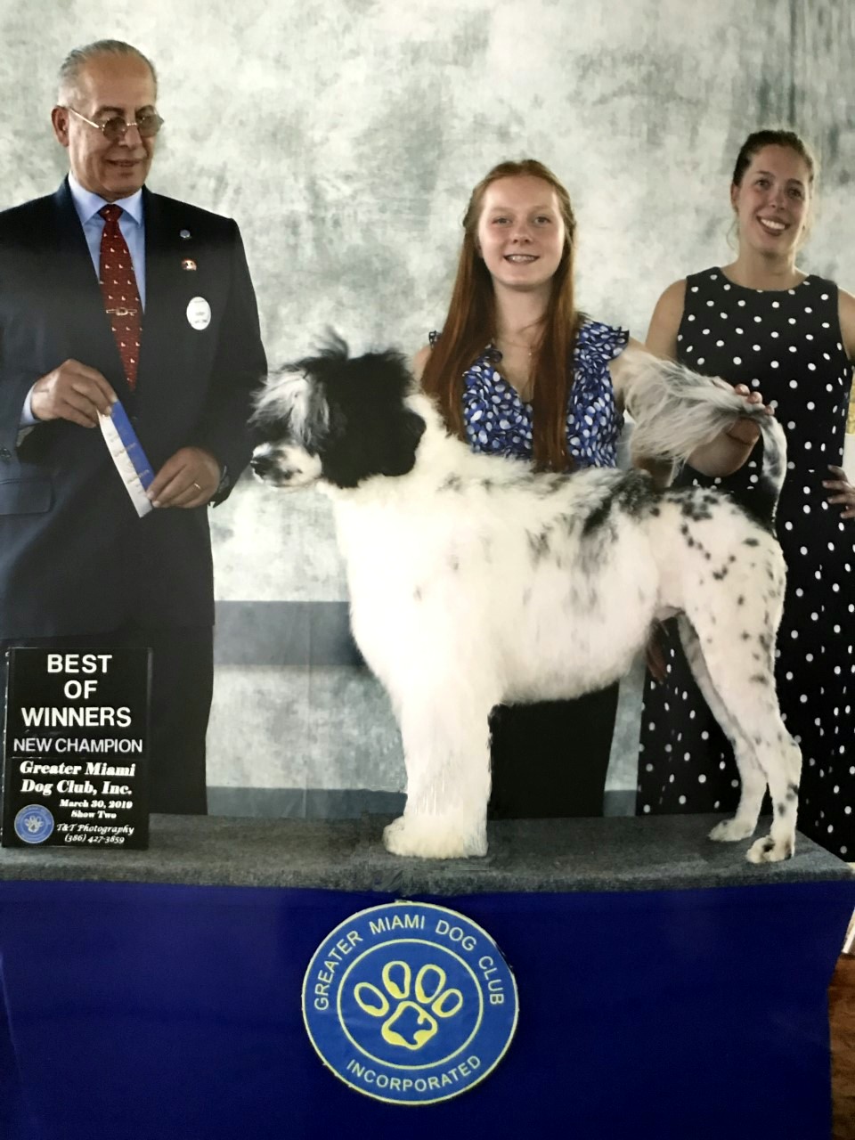 Rumor, Caladesi Portuguese Water Dog