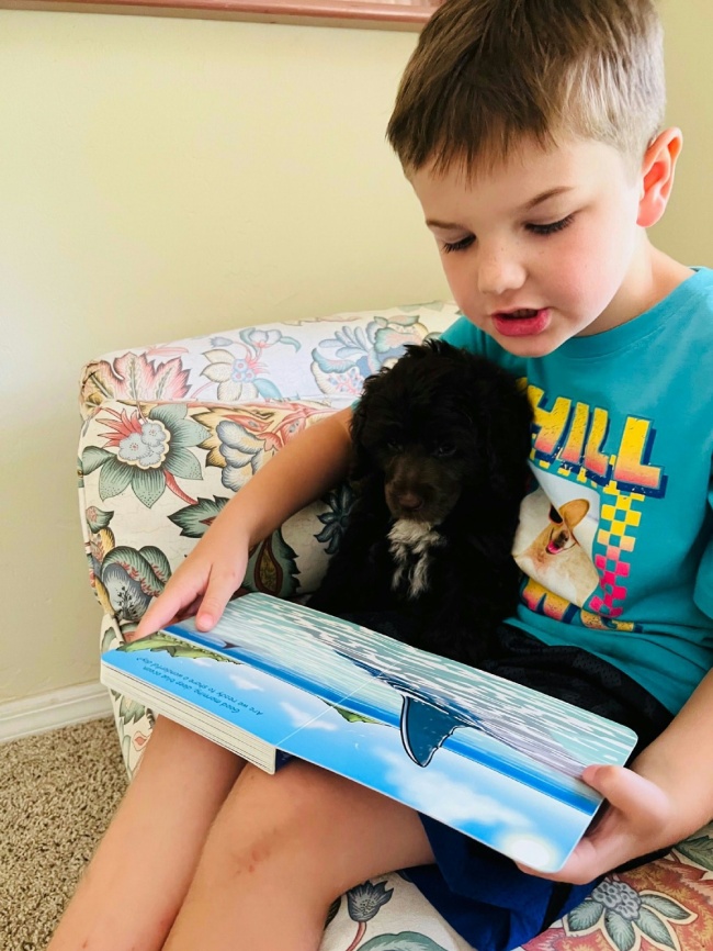 New puppy sitting with child